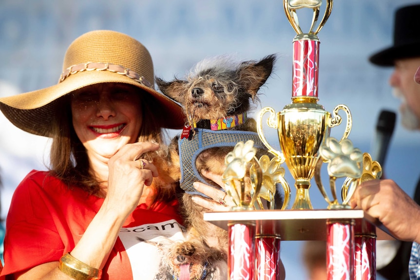 Scamp the Tramp is held with his trophy after winning the World's Ugliest Dog Contest.