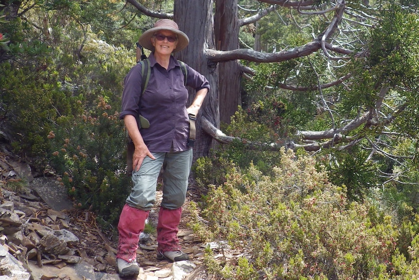 A woman in hiking clothes stands near a tree on a rocky path.