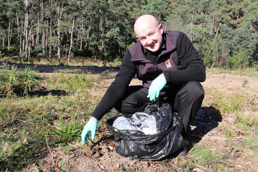 Darren Simpson, wearing rubber gloves, selects pieces of animal poo to put in a plastic bag.