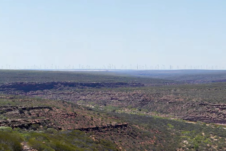 A view of the landscape from Kalbarri Skywalk showing wind turbines off in the distance.