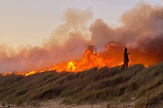 A firefighter stands on a grassy dune and watches a bushfire's flames.