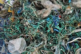 Ropes and rubbish on a remote Tasmanian beach