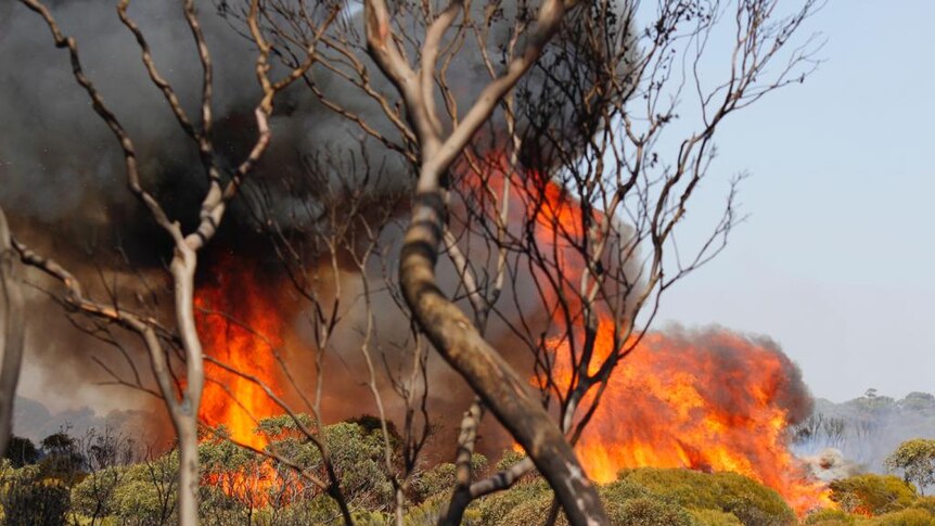 Bright orange flames and thick black smoke fill the sky