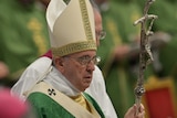 Pope Francis leads mass at opening of synod for family