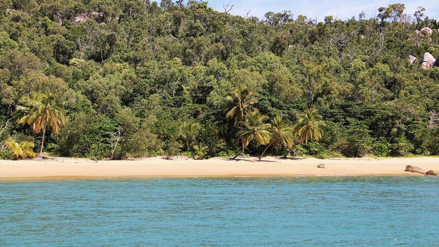 Hinchinbrook Island's North Shepherd Bay off north Queensland, the beach closest to the former eco-resort.