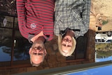 Denise and Jim Rossiter outside their homestead at Toehold Farm