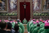 Pope Francis celebrates Mass.