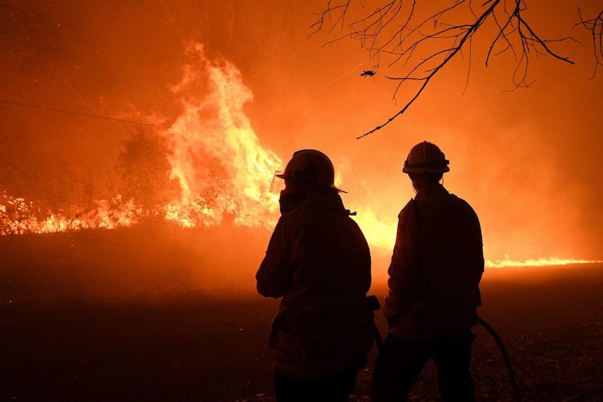 Two firefighters look at a wall of flames