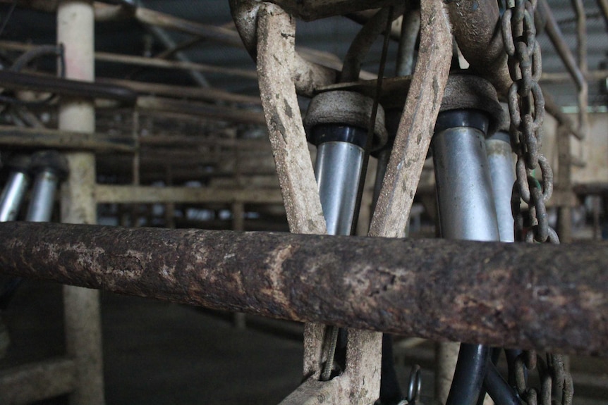 A photo of milk cups in an empty dairy.