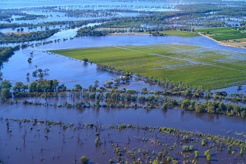An aerial image of inundated flood plains. The water is blue with green trees and land half underwater.