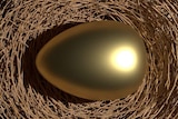 A golden egg in a nest.