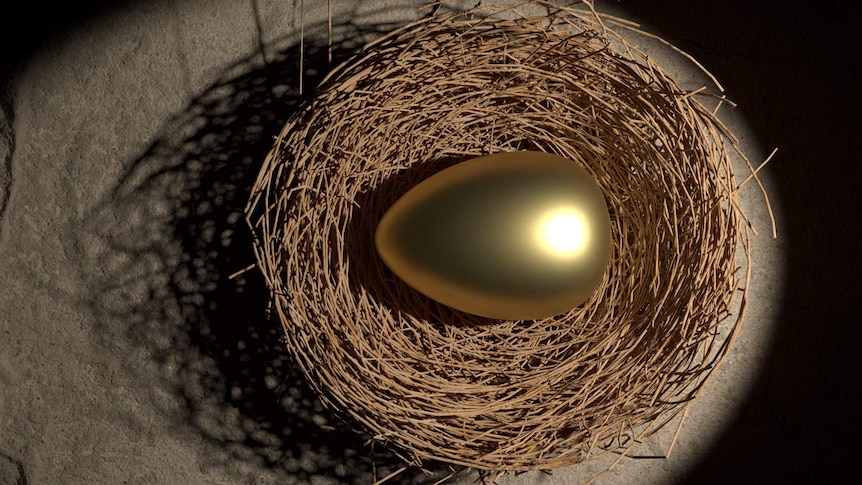 A golden egg in a nest symbolising superannuation.