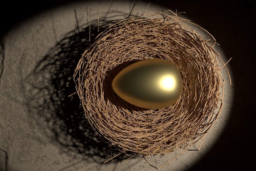 A golden egg in a nest.