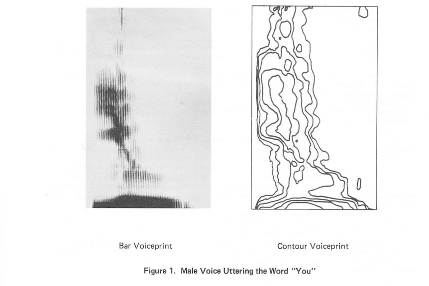 Graph showing a bar voiceprint and a contour voiceprint