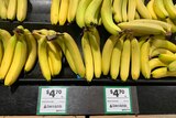 bananas in shop