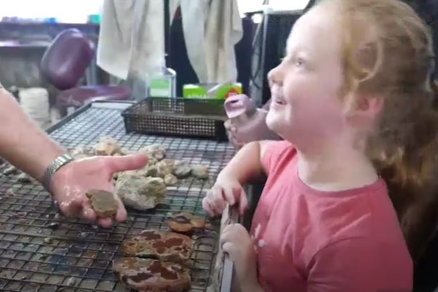 a wide-eyes girl smiles while being shown a cut thunder egg