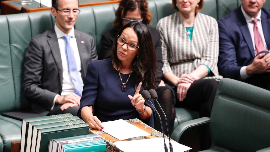 Linda Burney gestures and addresses the caucus in her maiden speech