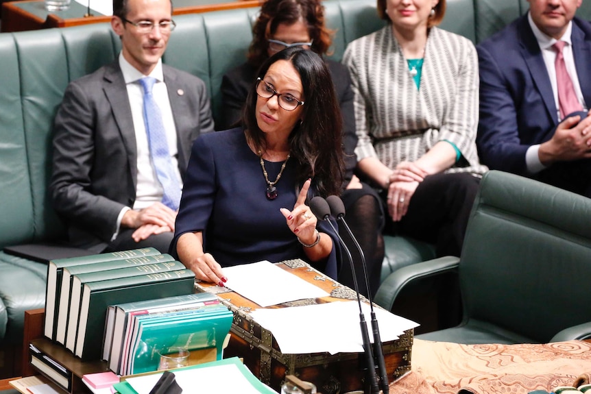 Linda Burney gestures and addresses the parliament in her maiden speech