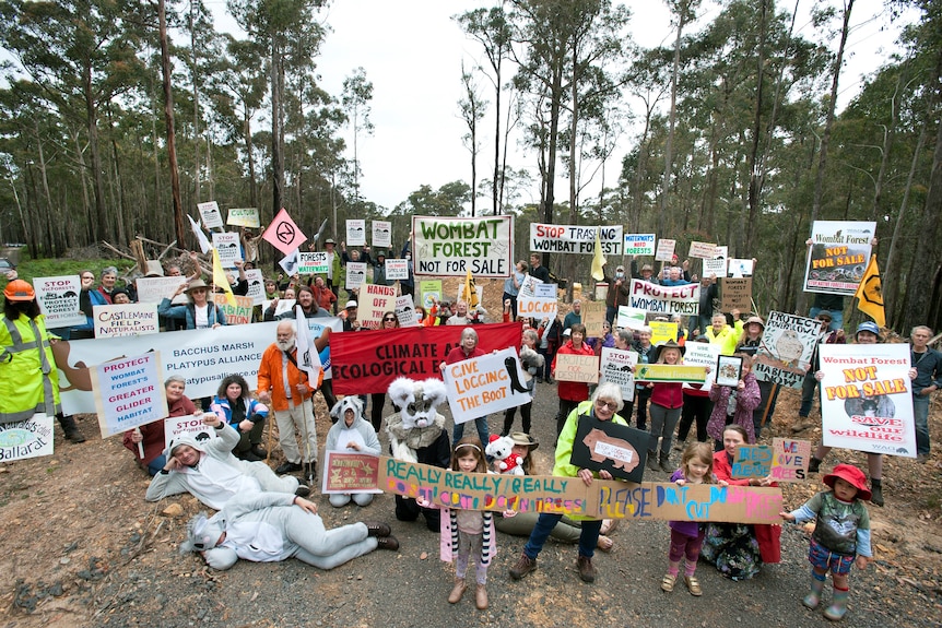 Un grupo de personas sostiene carteles frente a un bosque.