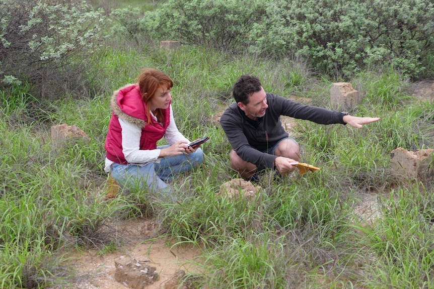 A woman and man crouching in grass as they examine a site.