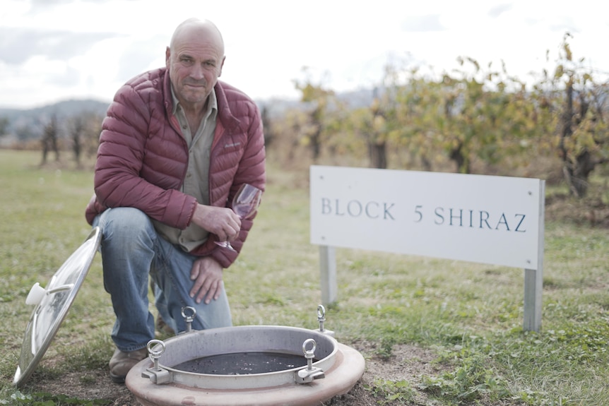 A man kneeling down in front of his vineyard