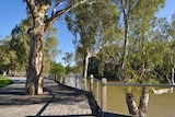 A photo of the completed boardwalk which is used to promote Barham on tourism websites