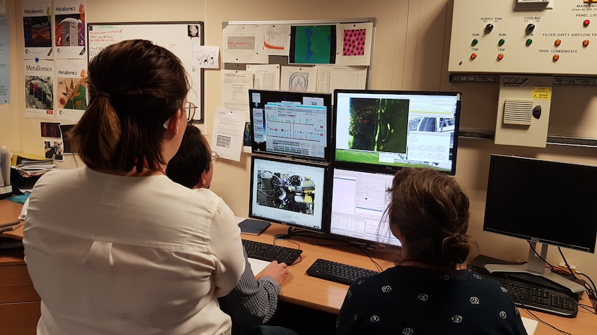 Three scientists look at analysed data on four computer monitors against a wall of diagrams