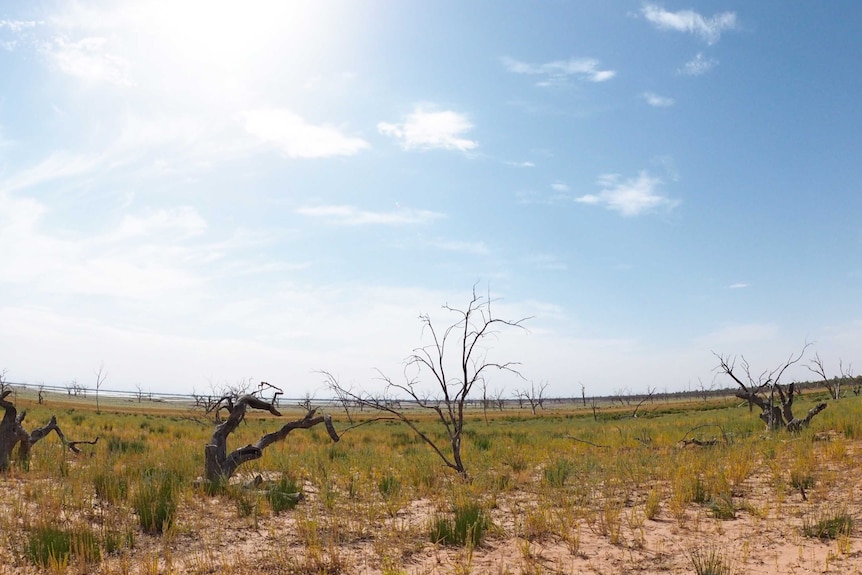 Lake Victoria, NSW