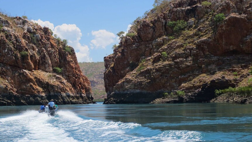 A boat speeds along the water under a blue sky towards the Horizontal Falls in the Kimberley, leaving behind a wake pattern.