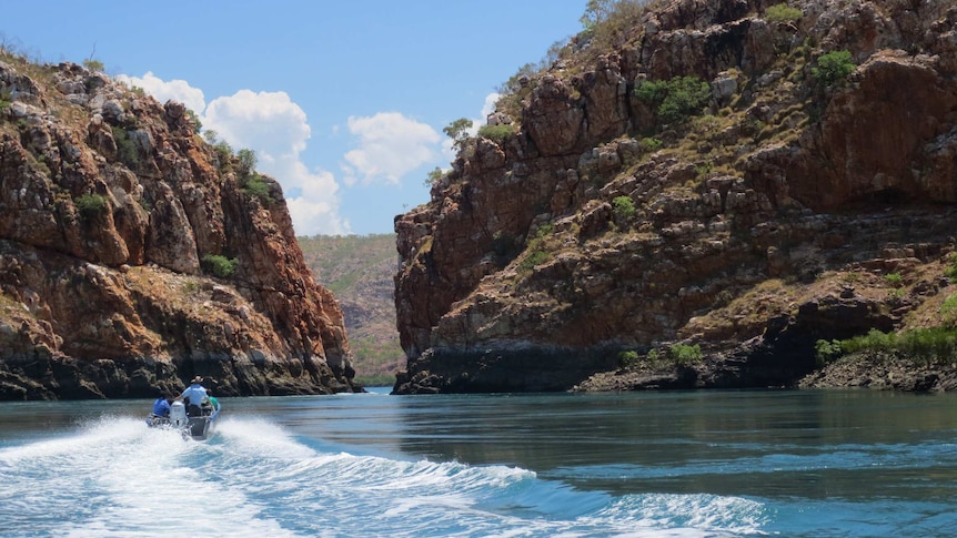 A boat speeds along the water under a blue sky towards the Horizontal Falls in the Kimberley, leaving behind a wake pattern.