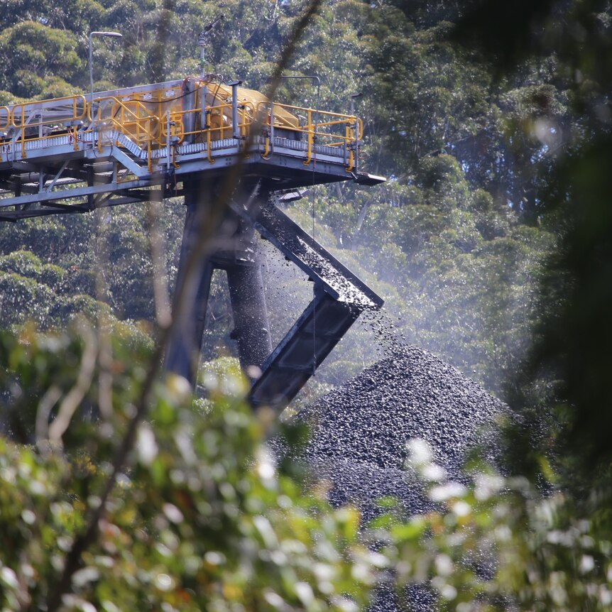 Coal falls from a conveyor belt onto a large pile surrounded by trees