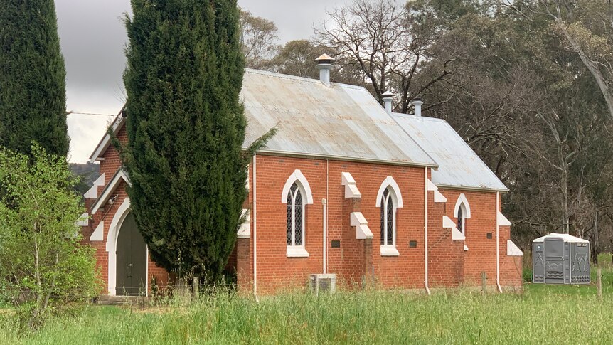 A red brick church building with a cyprus tree in front and a lawn of overgrown grass