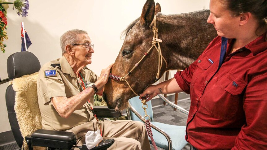 An old man in a wheelchair pats a horse who  is visiting the nursing home.