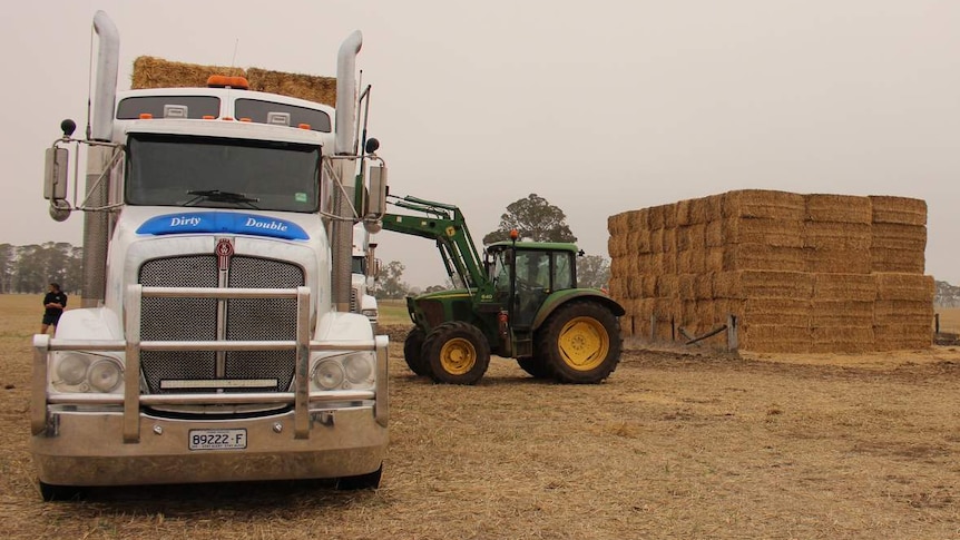 Tractors loading truck with hay