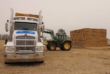 Tractors loading truck with hay