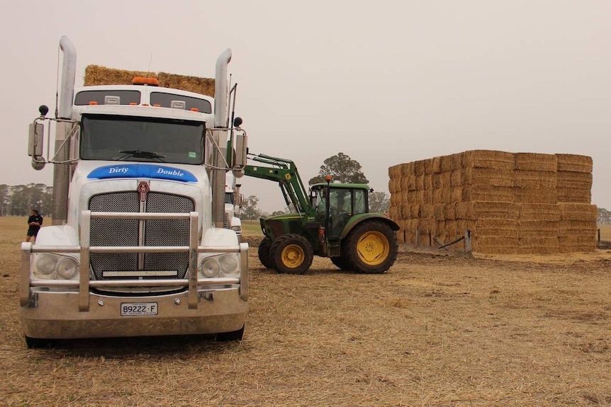 Tractors loading truck with hay