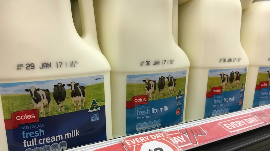 milk on shelves in the supermarket