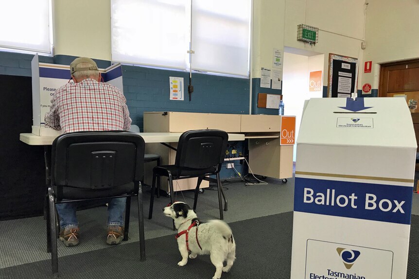 Man votes with his dog next to him