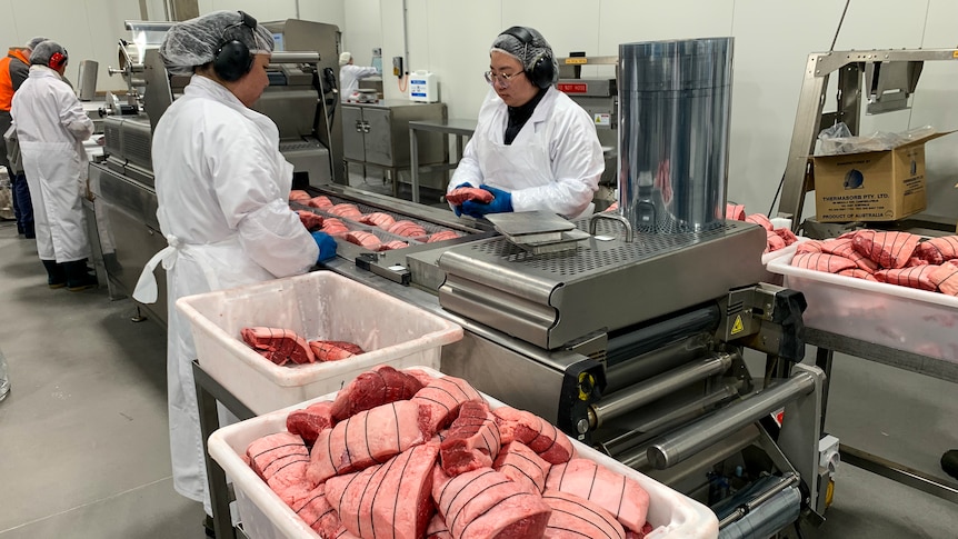 Two women dressed in white jackets, hair nets and protective ear muffs stand near a conveyer belt packing meat.