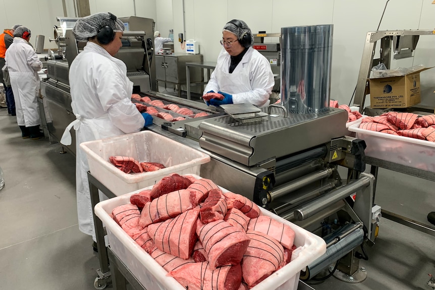 Two women dressed in white jackets, hair nets and protective ear muffs stand near a conveyer belt packing meat.