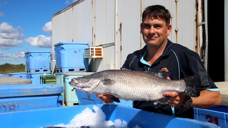 A man holding a big barramundi in front of a shed.