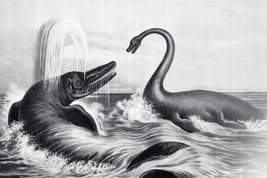 A black and white illustration of two crocodile like dinosaurs battling it out in the ocean.