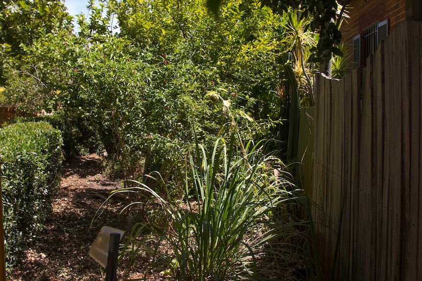 Bayswater edible pocket garden