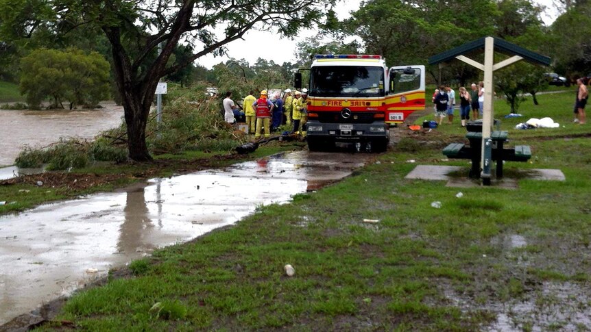 The family was looking at flooding in Kedron Brook in Gordon Park when the large tree fell about 8:30am (AEST).