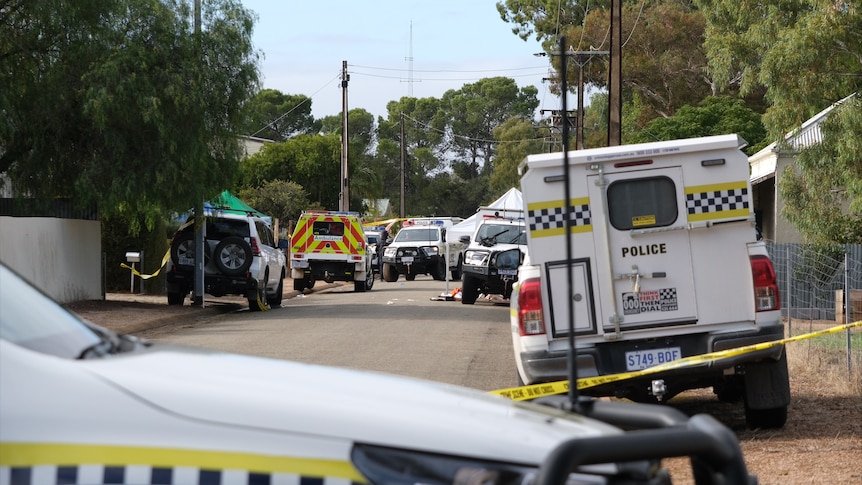 Police cars surround the scene of a stabbing and shooting.