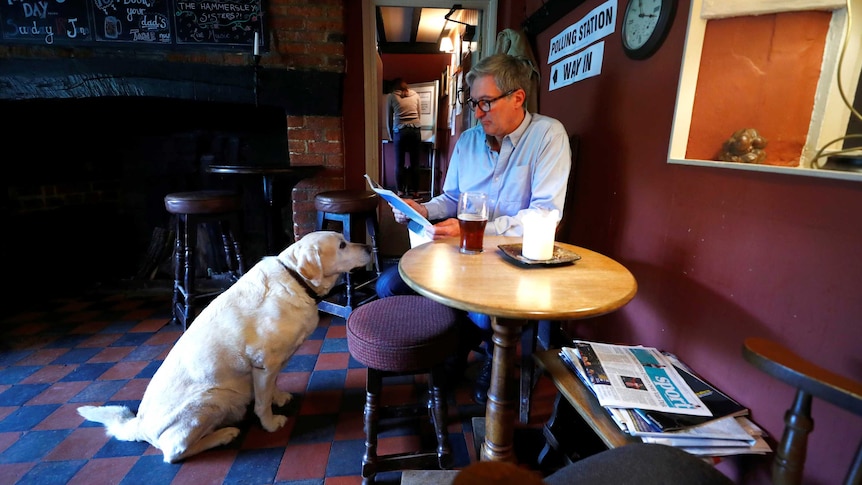 A man sits at a stool and a raised table with a pint of beer, reading the paper as his Labrador sniffs his leg