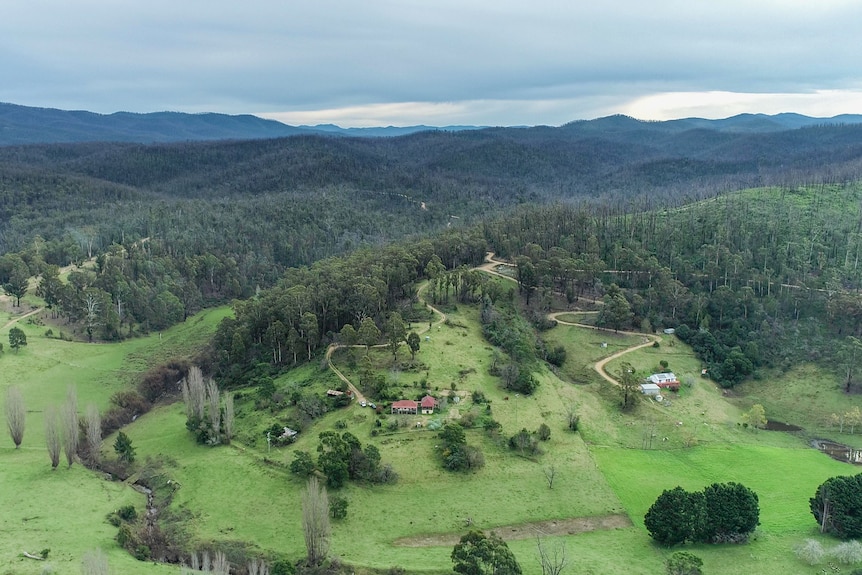 An aerial shot of a forest and a green valley with a river