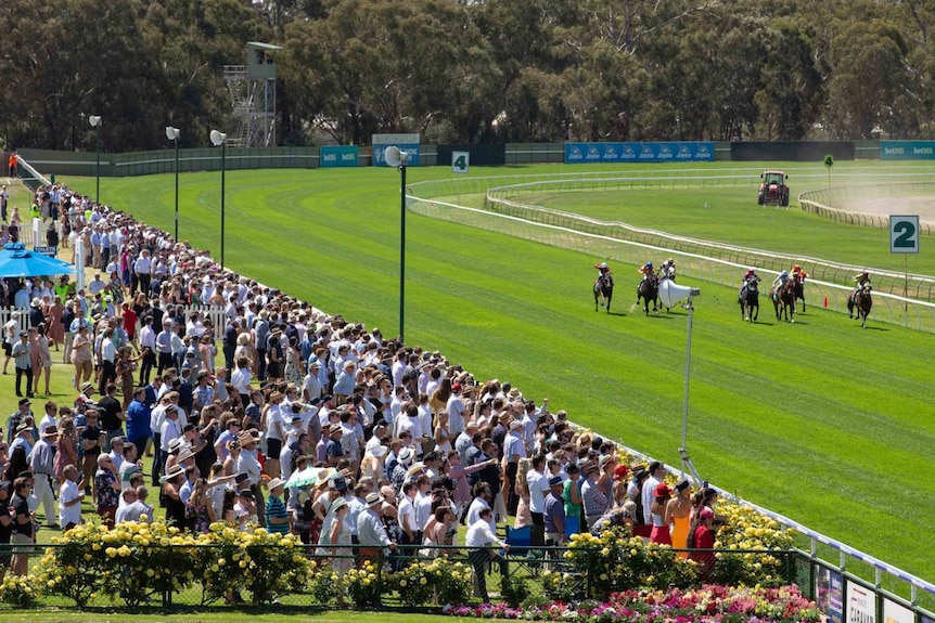 A crowd of spectators watches over a racetrack as horses run by.