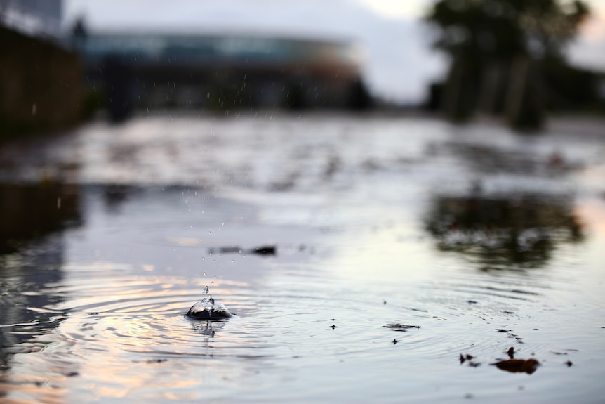 A raindrop falls in a puddle with Perth Stadium out of focus in the background.