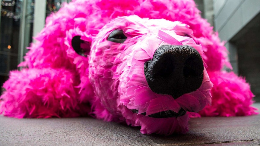 A close up of a neon pink feathered bear laying on a concrete tiled floor
